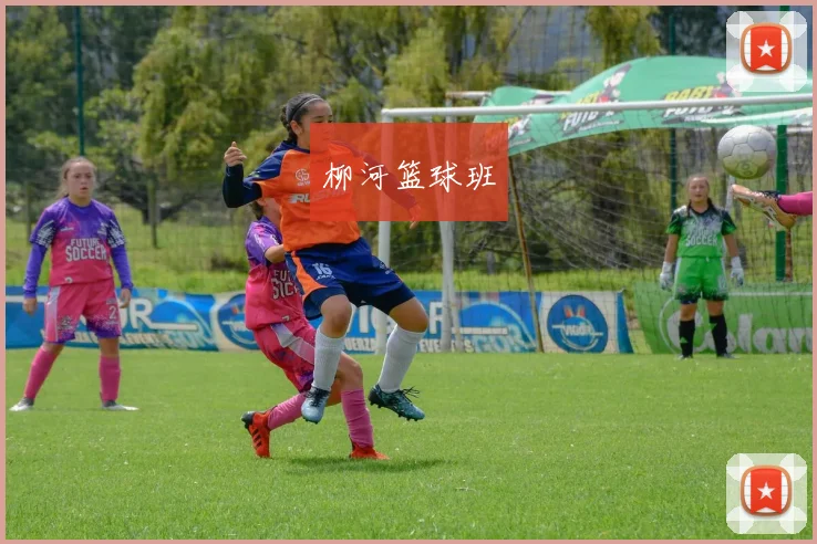 柳河篮球班