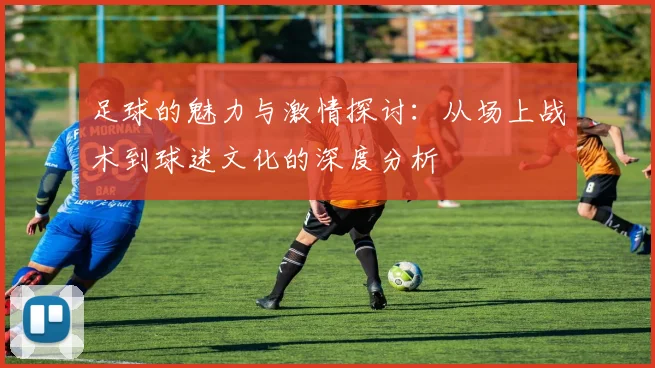 足球的魅力与激情探讨：从场上战术到球迷文化的深度分析