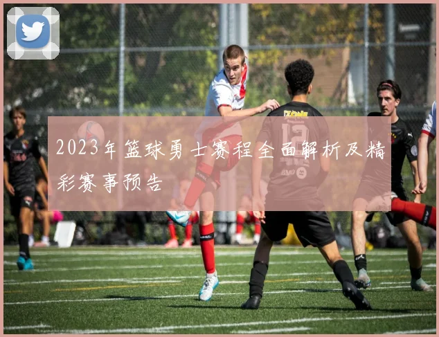 2023年篮球勇士赛程全面解析及精彩赛事预告
